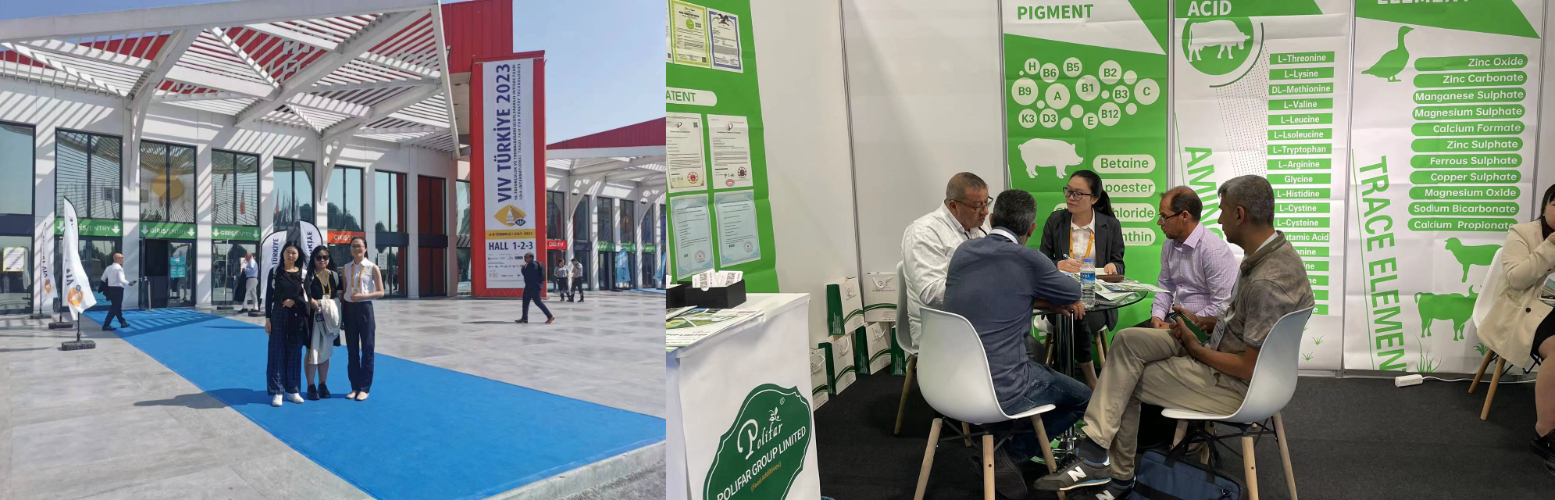 Exposi&ccedil;&atilde;o turca de aditivos para ra&ccedil;&otilde;es