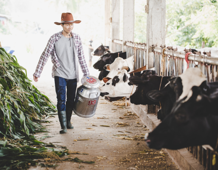 Quais são os benefícios da alimentação vitamínica para meus animais?